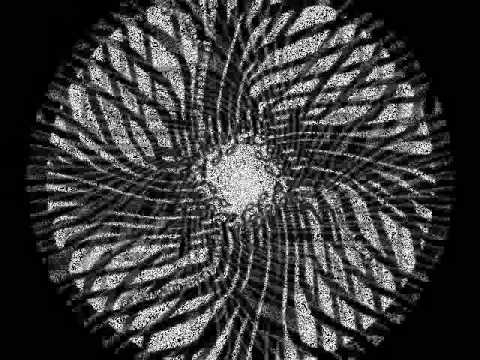 STATIK TRAVEL 11 / WAKO 16 - Wako