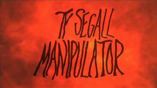 Ty Segall - The Feels From MANIPULATOR