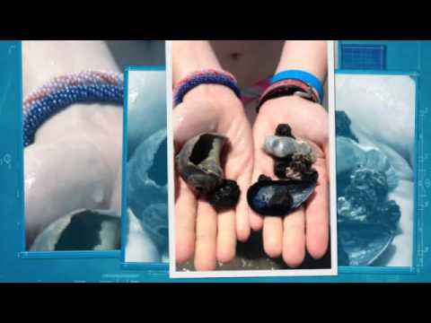 Kina gayau Lahure sanga... by ram shrestha