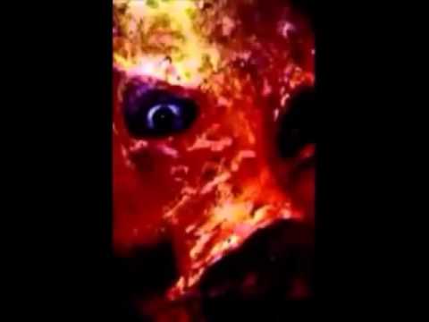 MC Bushpig - your eternal prison