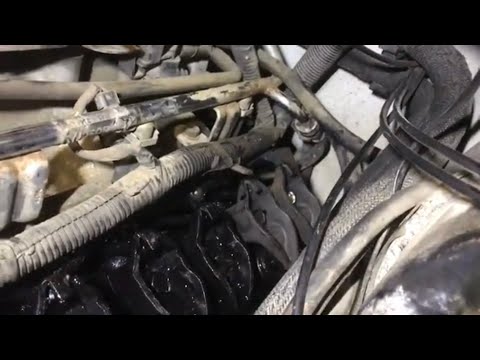 V10 HAS AN IRREGULAR HEART BEAT. I CAN BREAK ANYTHING ITS A CURSE I SWEAR!