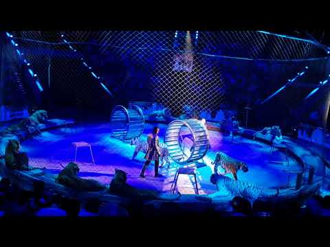 Circus Russian in  Moscow «Эпицентр Мира» 07.07.2018