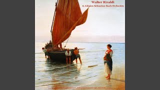 Canon in D Major for Organ