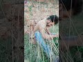 Odia Toka Dipu