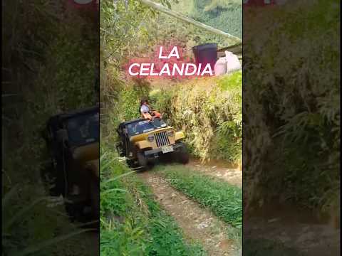 🚙 Jeep J6 Amarillo desde La Celandia, La Celia Risaralda 🇨🇴