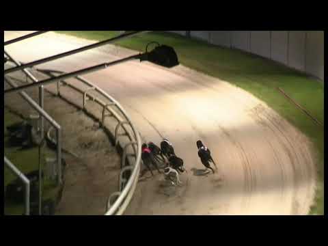 Summer Call - Coral Winter Derby - Heat 3