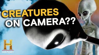 The Proof Is Out There