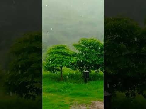 Barish Alwar Rajasthan #biodiversity #park #alwar #rajasthan #tejpal #swami