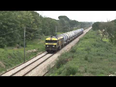 Biodiesel com Diesel no Comboio especial nº 95212 - Medway 1904 - Piçarras e Poceirão - 16 Feb 2024