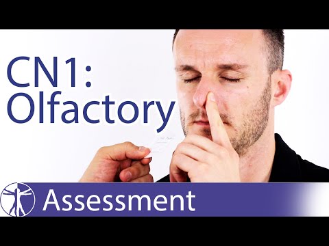 Cranial Nerve 1 | Olfactory Nerve Assessment for Physiotherapists