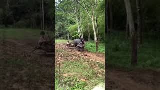 Download lagu Carabao Ride with Jarred mp3 Download lagu Carabao Ride with Jarred mp3