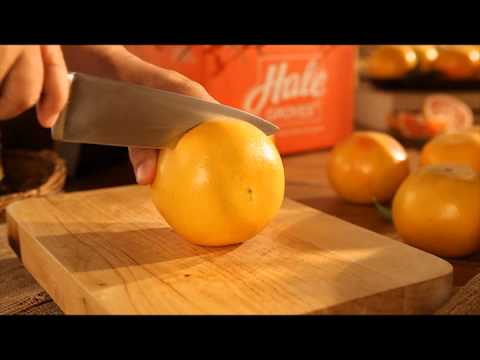 download lagu mp3 mp4 Red River Grapefruit, download lagu Red River Grapefruit gratis, unduh video klip Red River Grapefruit