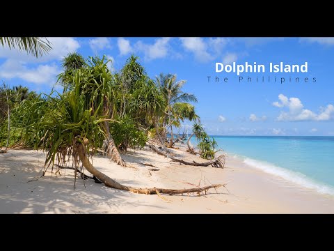 Virtual Walk | Tropical Island Special | 4K Virtual Hike with music