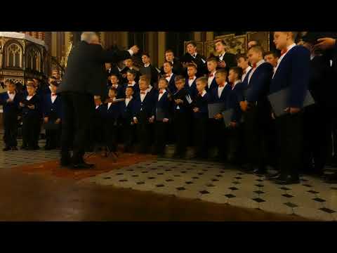 Wesele Sieradzkie (Karol M. Prosnak) - Szczeciński Chór Chłopięcy "Słowiki"