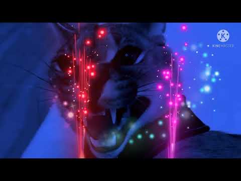 Beauty and the Caracal Part 25 - Transformation/Happy ending