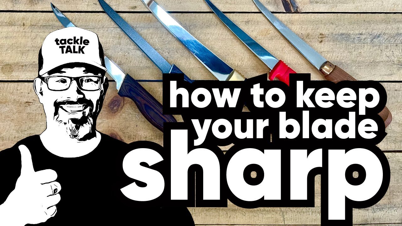How To Sharpen & Maintain Your Knives || Best Fish Filleting Knife