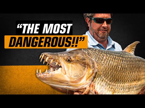 Catching The World's SCARIEST Freshwater Fish | The Fishing Gurus Podcast #053 - Gary Newman