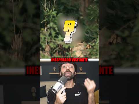 Su boda fue invadida por un invitado SORPRESA 😱 #sabiasque #curiosidades