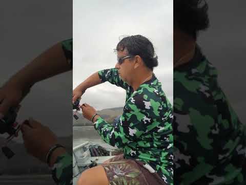 (26/07/2026) Dificuldade pra pegar um robalo nessa água gelada. Rio Paraíba do Sul São Fidélis RJ.