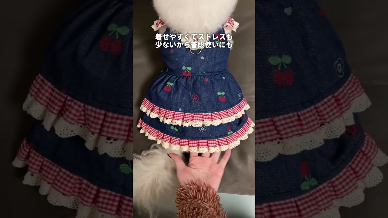 [Giipet] ころんとしたさくらんぼがほんとに可愛い。#犬のいる暮らし #犬のいる生活 #fyp #ペット用品 #犬 #Giipet #犬好きさんと繋がりたい #犬好き #fypシ