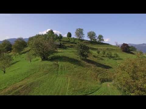 Zdravilni gaj Tunjice - GLAMPING