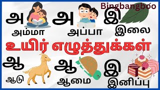உயிர் எழுத்துக்கள் l அ -அம்மா, ஆ-ஆடுl அஆஇ #uyirezhuthukal l a amma aa aadu #tamil @bingbangboo1562