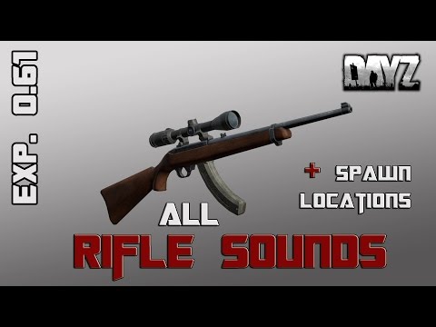 DayZ Standalone: Rifles Update - New Sounds, Spawn Location, Attachments, Ammo, Mags