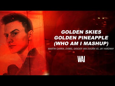 Martin Garrix, DVBBS vs. Jay Hardway - Golden Skies vs. Golden Pineapple (WHO AM I Mashup)