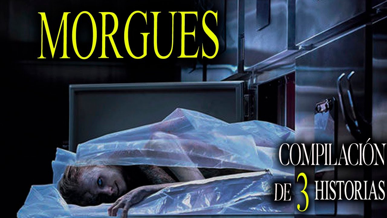 3 relatos de TERROR de MÉDICOS FORENSES en la MORGUE (Oscuros Secretos y Revelaciones ATERRADORAS)