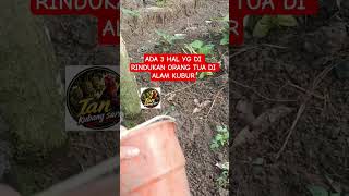 Download lagu ADA 3 HAL YG DI RINDUKAN ORANG TUA DI ALAM KUBUR#usthilmanfauzi mp3 Download lagu ADA 3 HAL YG DI RINDUKAN ORANG TUA DI ALAM KUBUR#usthilmanfauzi mp3