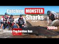 The Privilege Of Catching GIANT SHARKS ASFN Rock Surf