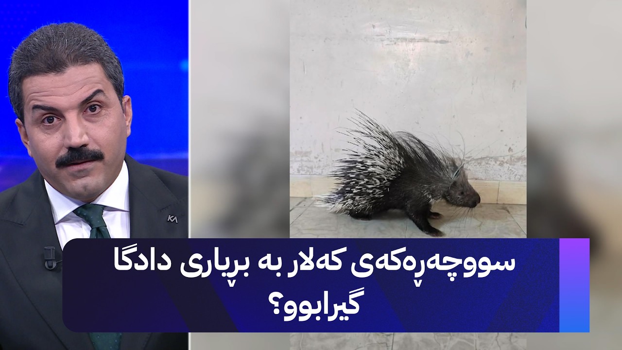 ڤیدیۆ | سووچەڕەکەی کەلار بە بڕیاری دادگا گیرابوو؟