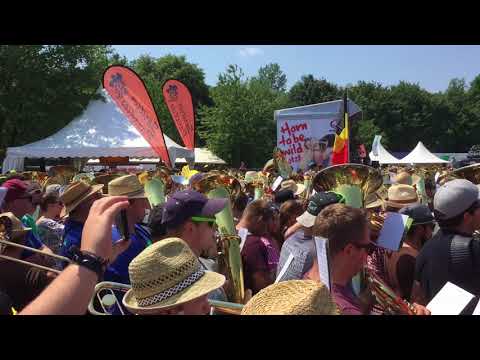 Woodstock Gesamtspiel 2018