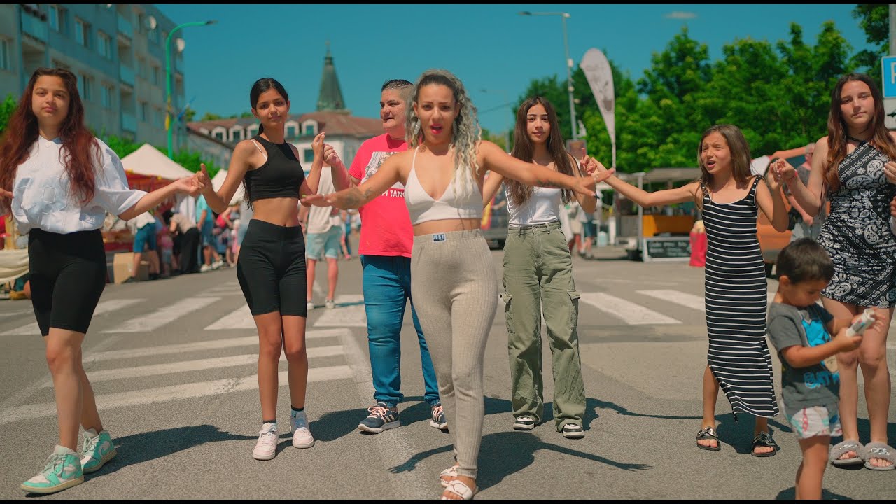 Gipsy Erika - Myjavatar ( cover )