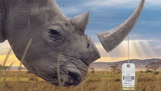 Trophy,動物戰利品,電影預告中文字幕