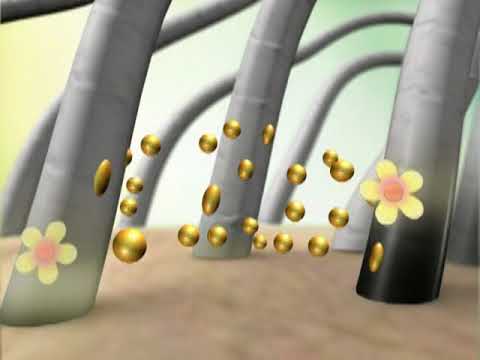 Quick Touch 1 Minute Hair color - Malaysia hair dye (Bahasa Malay)-Pewarna Rambut