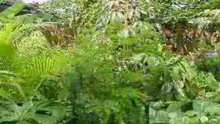 preview picture of video 'Jardín del Eden'