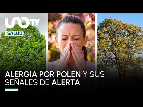 Sabes cuál son los síntomas de alergia por polen