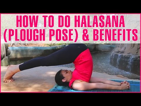How To Do Halasana (Plough Pose) & Its Benefits