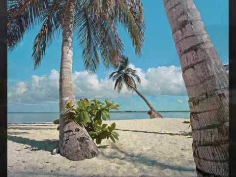 Jose Amnesia   The Eternal VOL 2 ABRAHAM TANUZ RASHID