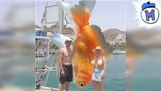 10 Giant Animals You Won&#39;t Believe Exist