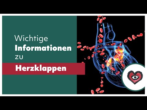 Herzklappen: Ventile im Lebensmotor Herz