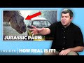 Paleontologist Rates 10 Dinosaur Scenes In Movies And TV How Real Is It Insider