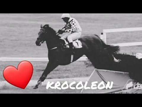 Sbohem Krocoleone....