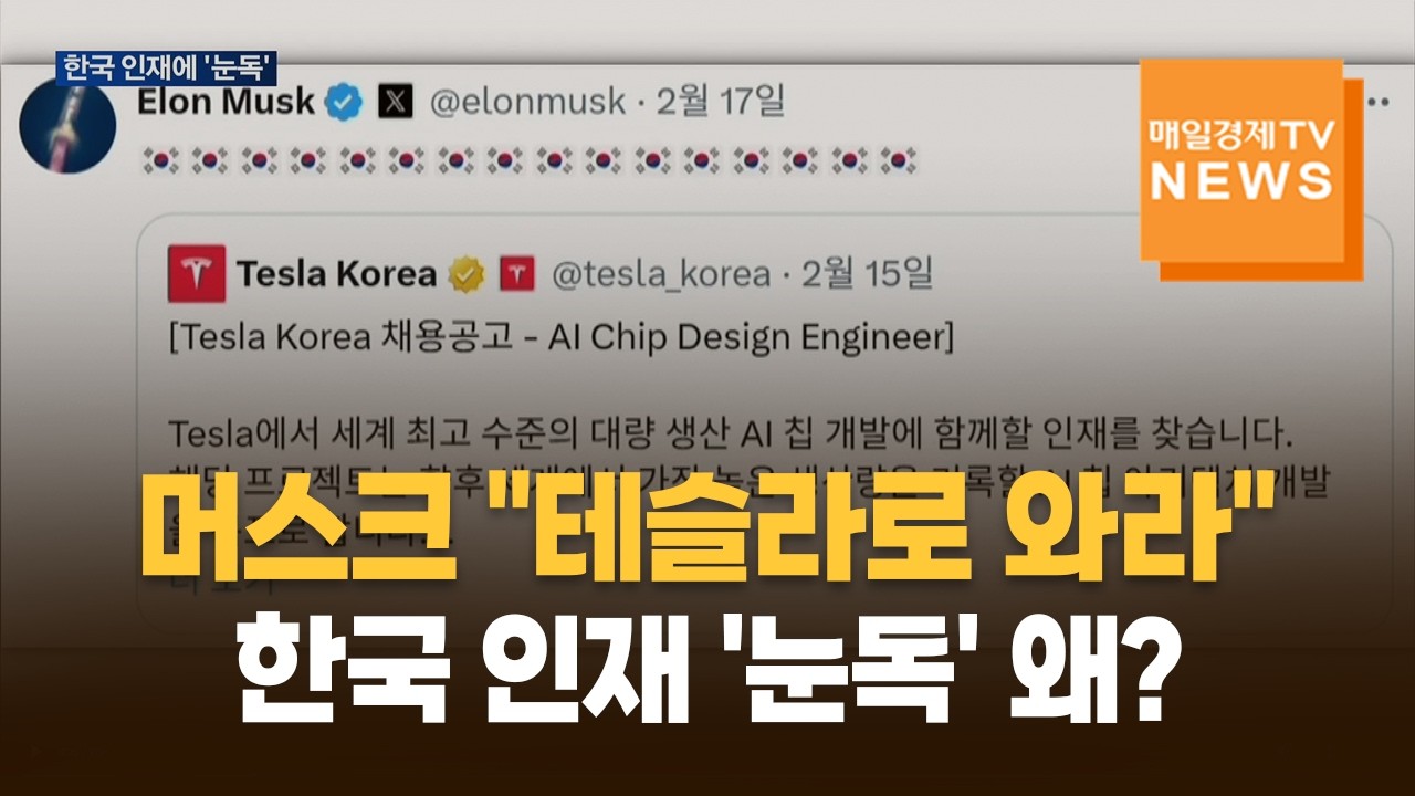 머스크 "테슬라로 와라"…한국 인재 '눈독' 왜?