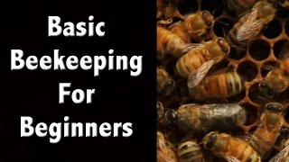 Our Exploratory Beekeeping Meeting