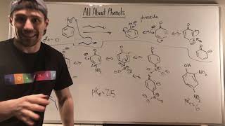 Introduction to Phenols, Characteristics and Naming