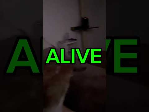 9 grams albino on existential dread - mystical mushrooms #trip