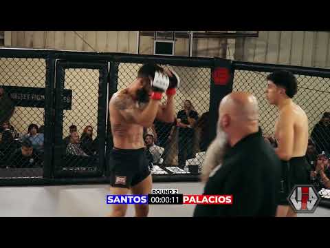 VFS 10 - PALACIOS VS SANTOS