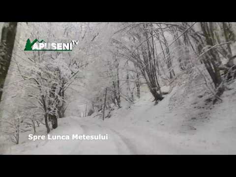 Peisaje superbe de iarna.  Spre Lunca Metesului